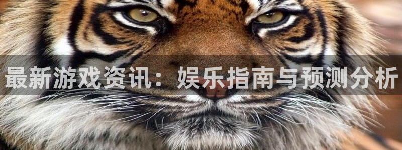 长征娱乐娱乐是真的吗：最新游戏资讯：娱乐指南与预测分析