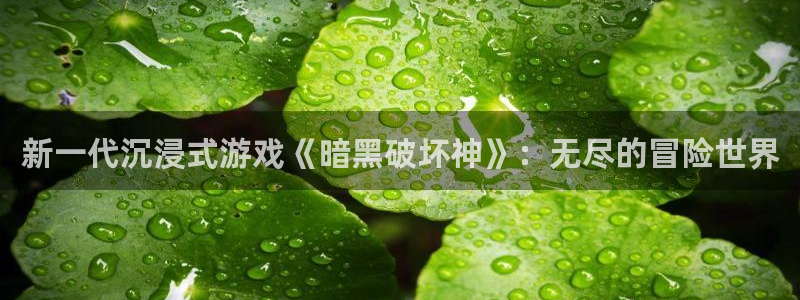 长征娱乐平台登录入口：新一代沉浸式游戏《暗黑破坏神》：无尽的