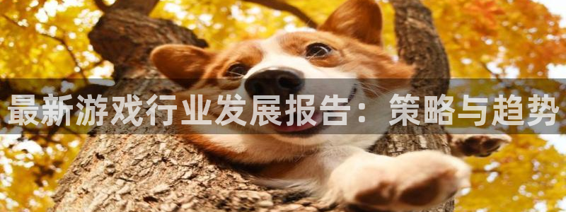 长征娱乐登陆测速:最新游戏行业发展报告:策略与趋势