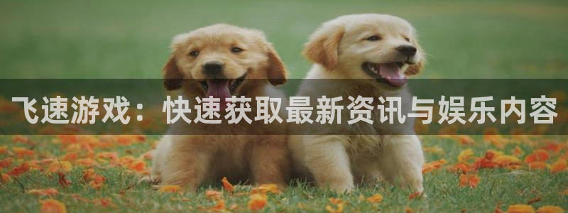 长征娱乐网页登录入口下载：飞速游戏：快速获取最新资讯与娱乐内