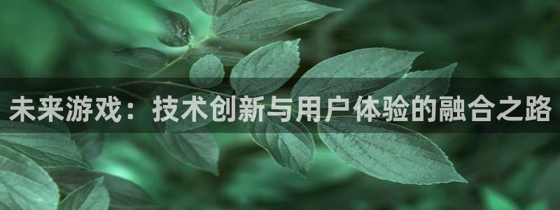 长征娱乐平台官网客服电话：未来游戏：技术创新与用户体验的融合
