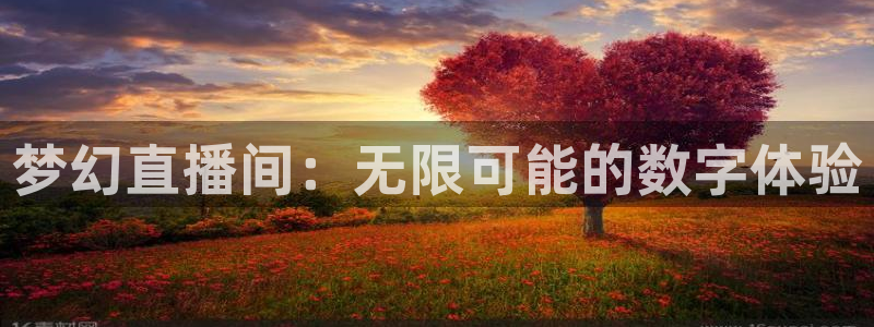 51视频在线直播nba：梦幻直播间：无限可能的数字体验