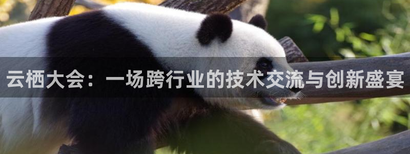 51视频在线直播nba：云栖大会：一场跨行业的技术交流与创新盛宴