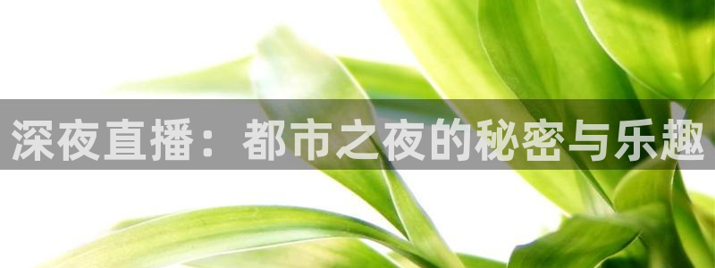 51视频在线直播nba：深夜直播：都市之夜的秘密与乐趣